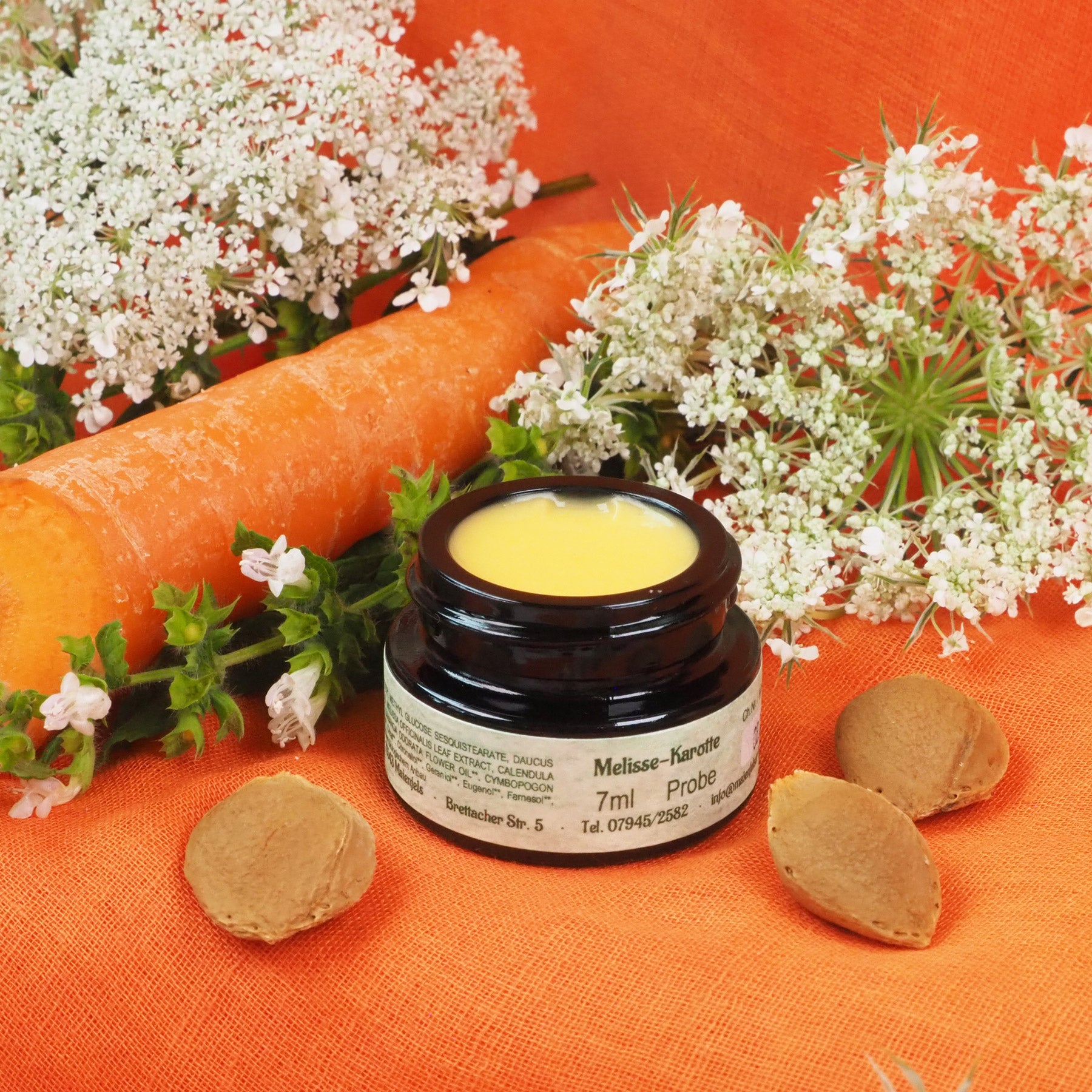 Geöffneter 7ml Melissen-Karotten Creme Tiegel. Daneben liegt eine Karotte.