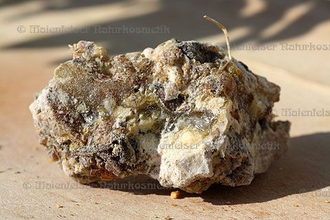 Copal negro - Mexiko