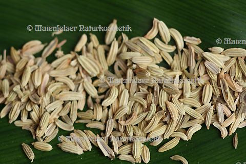Fenchel süß (10 ml)