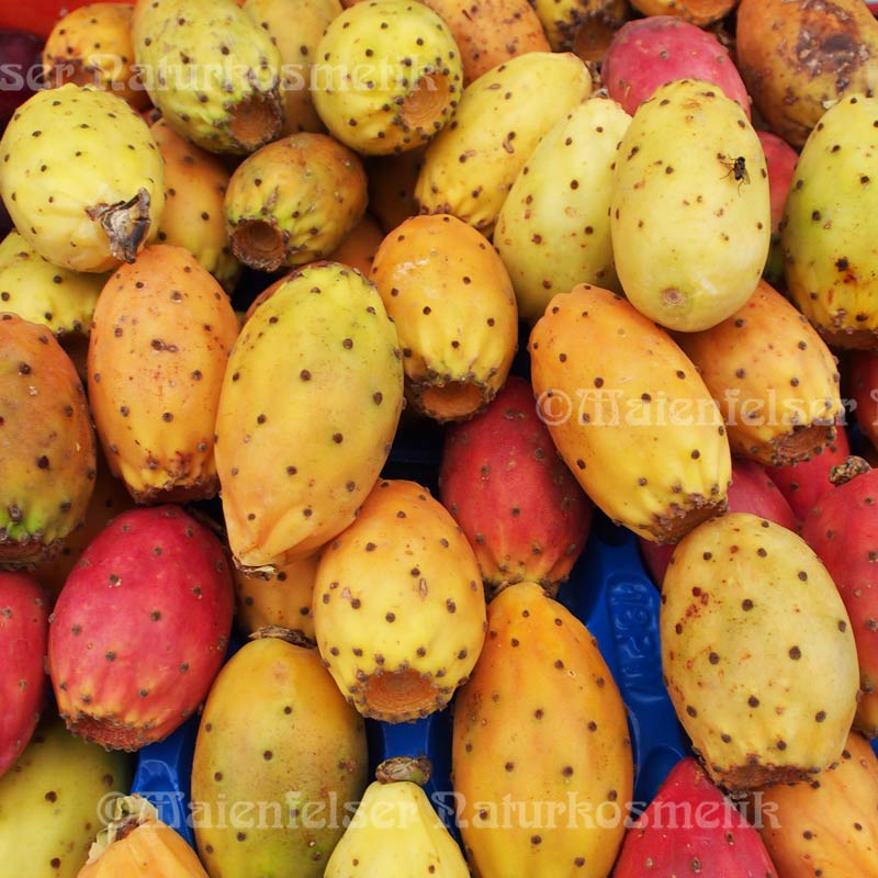 Kaktusfeigenkernöl BIO