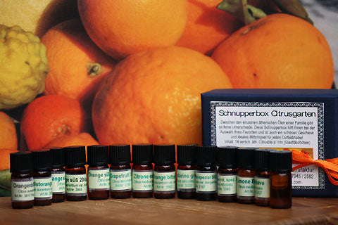 Schnupperbox "Citrusgarten"