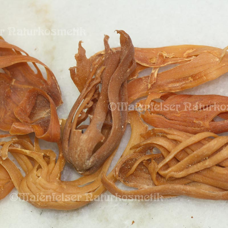 Macisblüte extra BIO (5 ml)