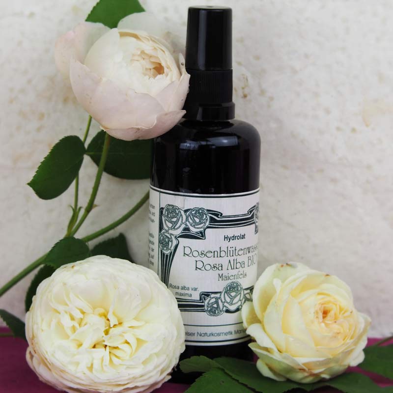 Rosenblütenwasser Rosa alba
